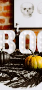 渋い色のかぼちゃ3