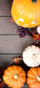 上から見たかぼちゃ3