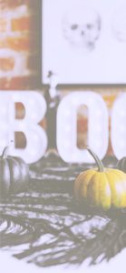 渋い色のかぼちゃ2