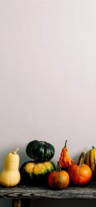 並べたカボチャ1