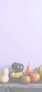 並べたカボチャ2