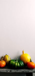 並べたカボチャ3