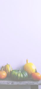 並べたカボチャ4