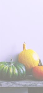 並べたカボチャ7