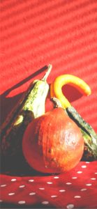 ドットとかぼちゃ1