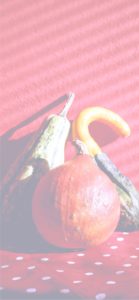 ドットとかぼちゃ2