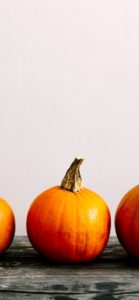 かぼちゃがひとつ3