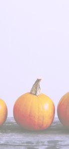 かぼちゃがひとつ4