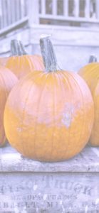 板の上のかぼちゃ2