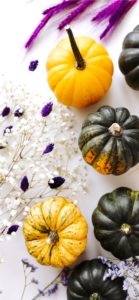 黄色のかぼちゃ1