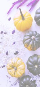 黄色のかぼちゃ2