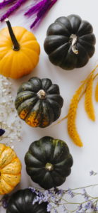 黄色のかぼちゃ3