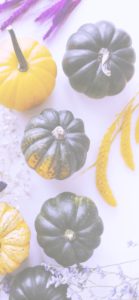 黄色のかぼちゃ4