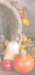 カゴとかぼちゃ2