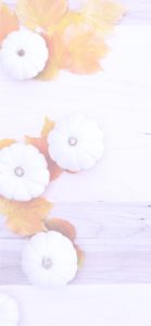 落葉と白いカボチャ2