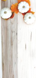 落葉と白いカボチャ3