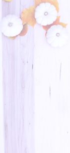 落葉と白いカボチャ4