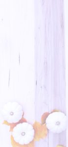 落葉と白いカボチャ6