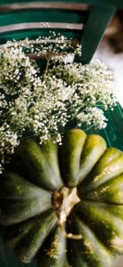 かすみ草とかぼちゃ1