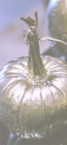 かぼちゃのオブジェ1