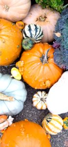 個性的なカボチャ4