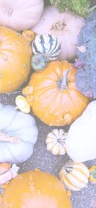 個性的なカボチャ3