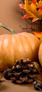 ミルクティー色のかぼちゃ2