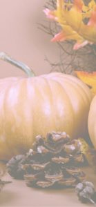 ミルクティー色のかぼちゃ1