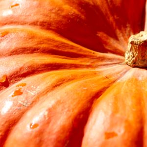 オレンジ色のかぼちゃ4