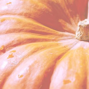 オレンジ色のかぼちゃ3