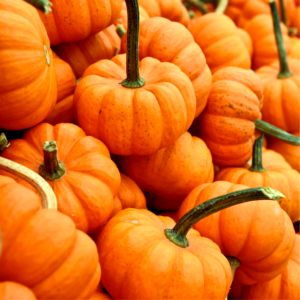 積まれたかぼちゃ2