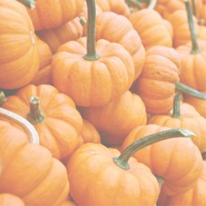積まれたかぼちゃ1