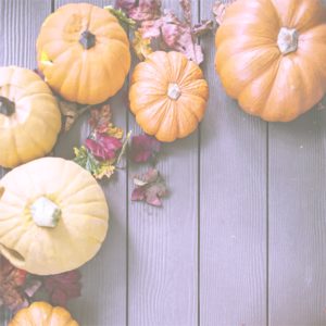 ドライフラワーとかぼちゃ1