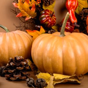 ミルクティー色のかぼちゃ2