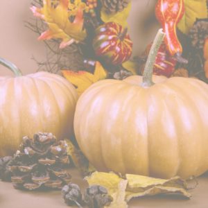 ミルクティー色のかぼちゃ1