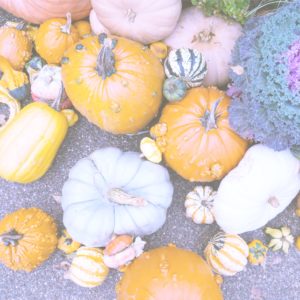 個性的なかぼちゃ1