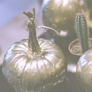 カボチャのオブジェ1