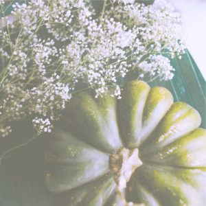 かすみ草とかぼちゃ1