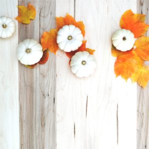 オレンジ色の落葉と白いカボチャ2