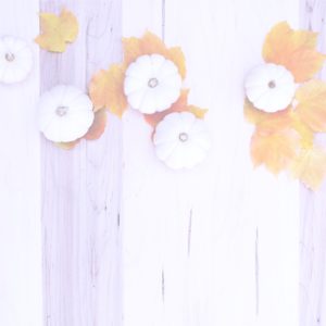 オレンジ色の落葉と白いカボチャ1