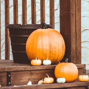 いろんな色のかぼちゃ2