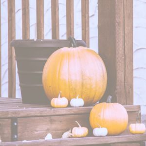 いろんな色のかぼちゃ1