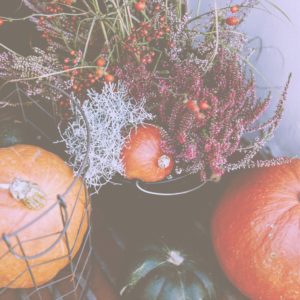 秋の花とかぼちゃ2