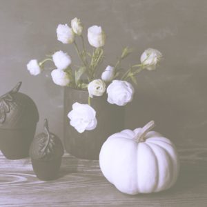 白いバラと白いかぼちゃ2