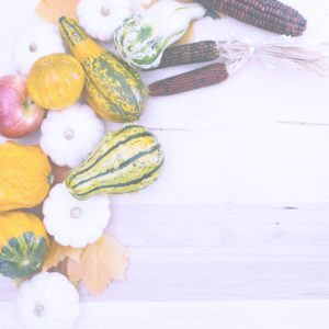 りんごとかぼちゃ5