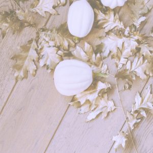 落葉と白いカボチャ2