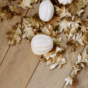 落葉と白いカボチャ1