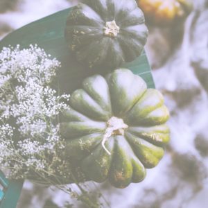 かすみ草とかぼちゃ3