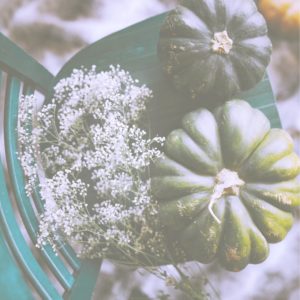 かすみ草とかぼちゃ2