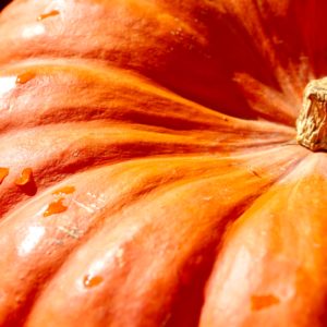 オレンジ色のかぼちゃ1